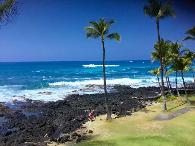 Kona Reef lava shoreline and palms