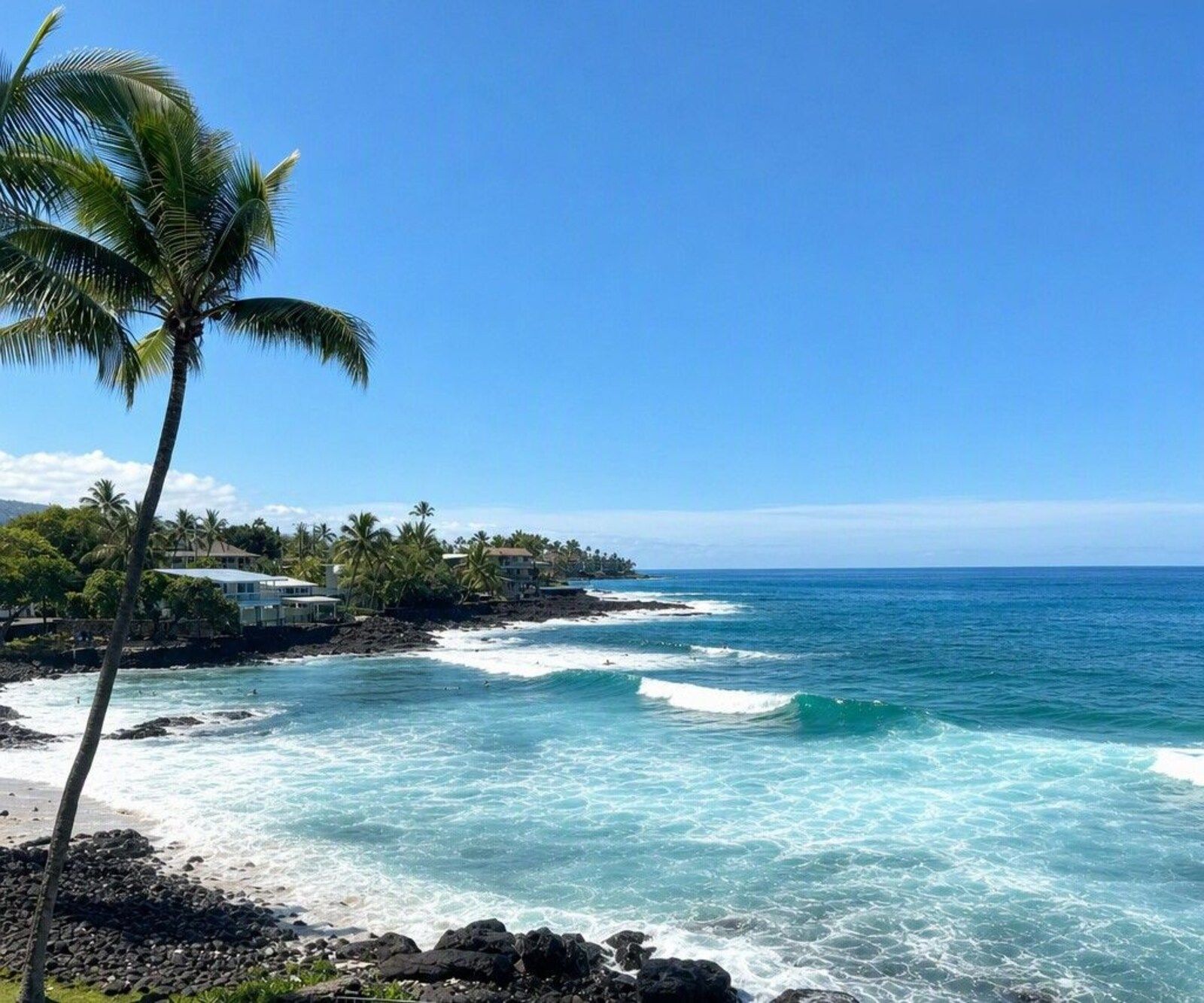Kona coastline with palm tree and waves seen from the A22 lanai