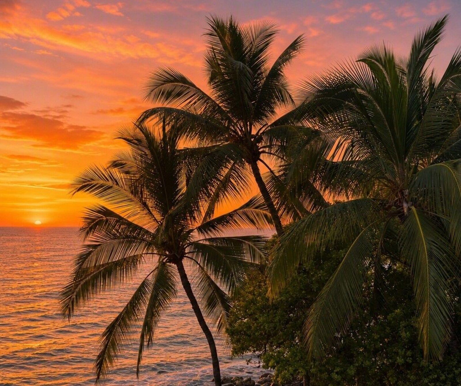 Sunset over the ocean framed by palm trees at Kona Magic Sands