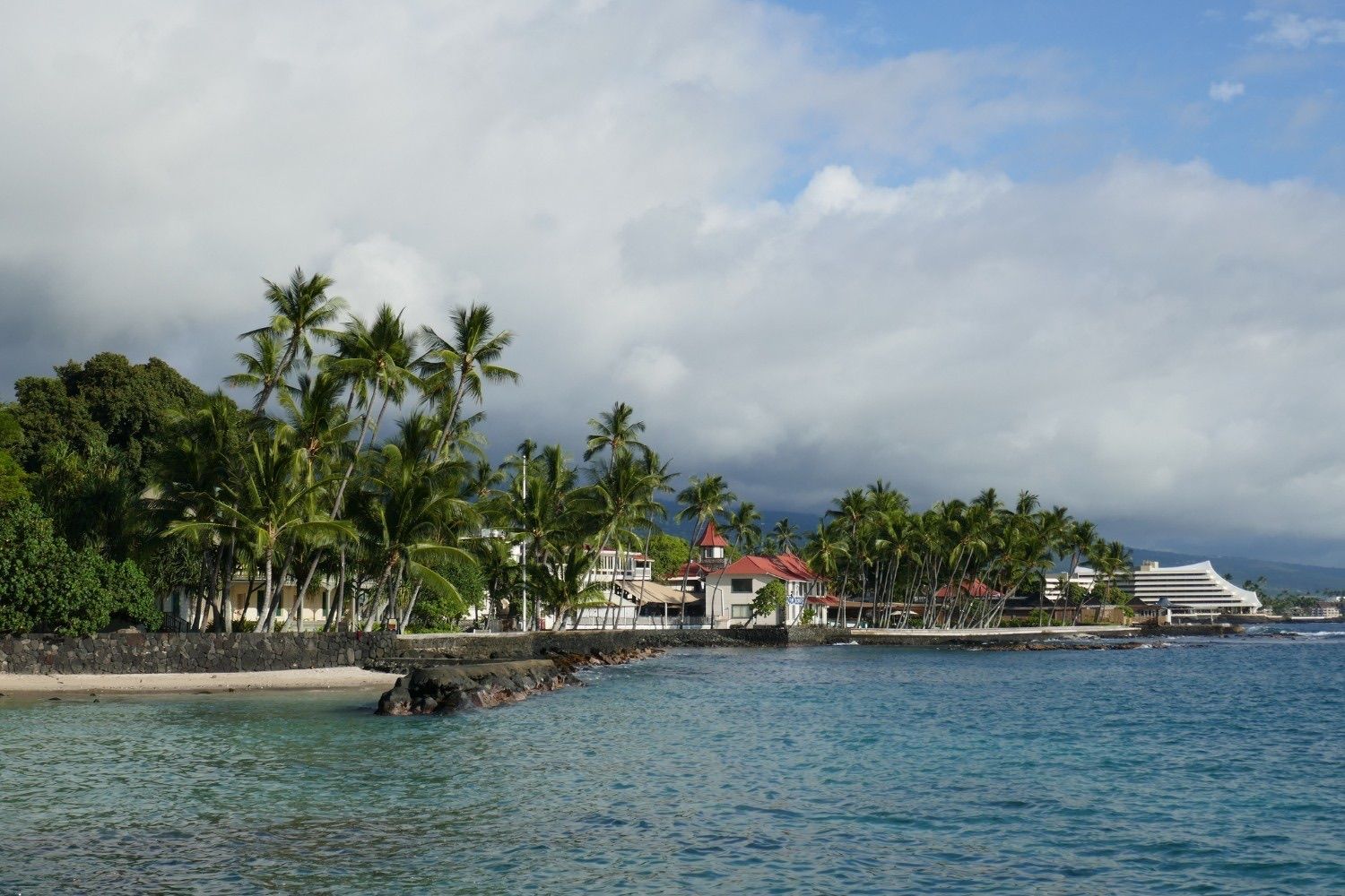 Palms along the Kailua-Kona waterfront