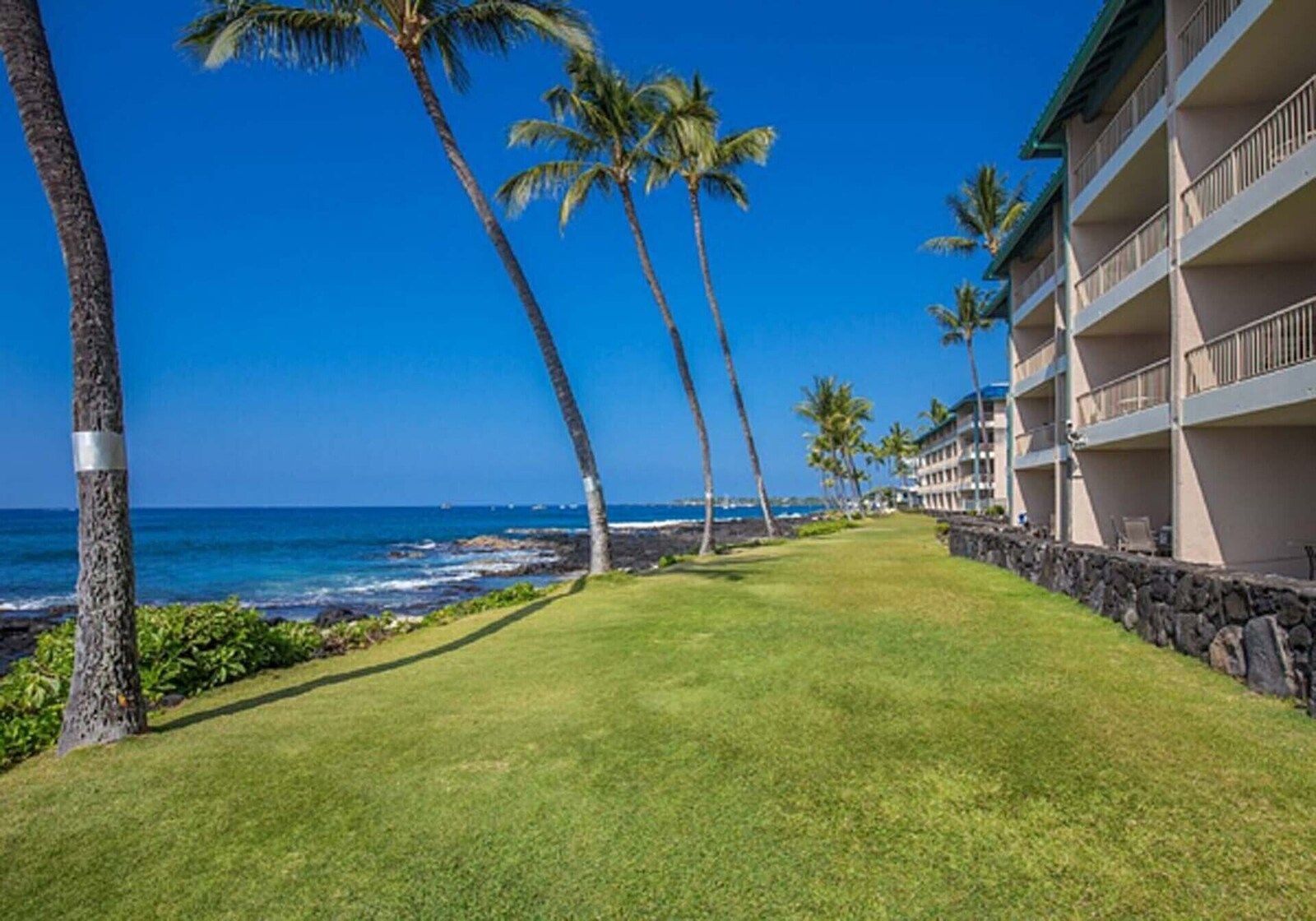 Kona Reef grounds along the shoreline