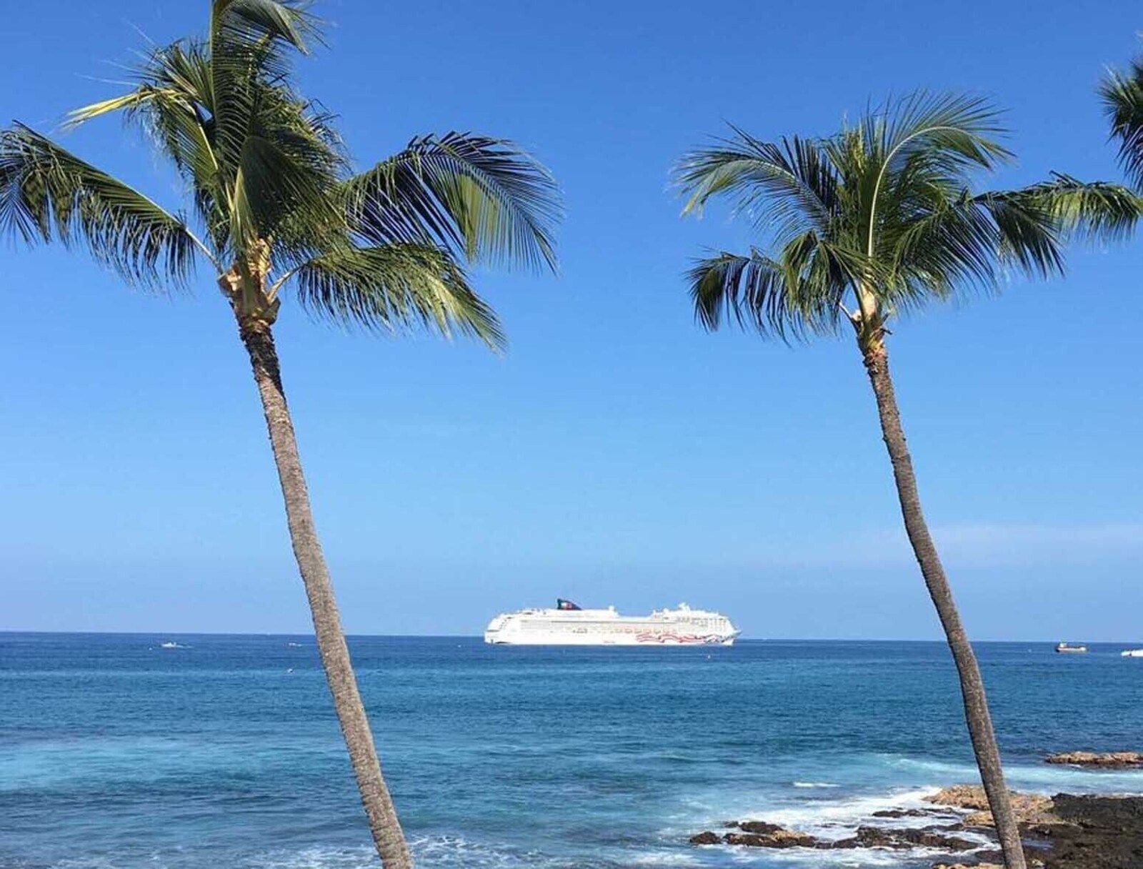 Palms along the Kailua-Kona waterfront