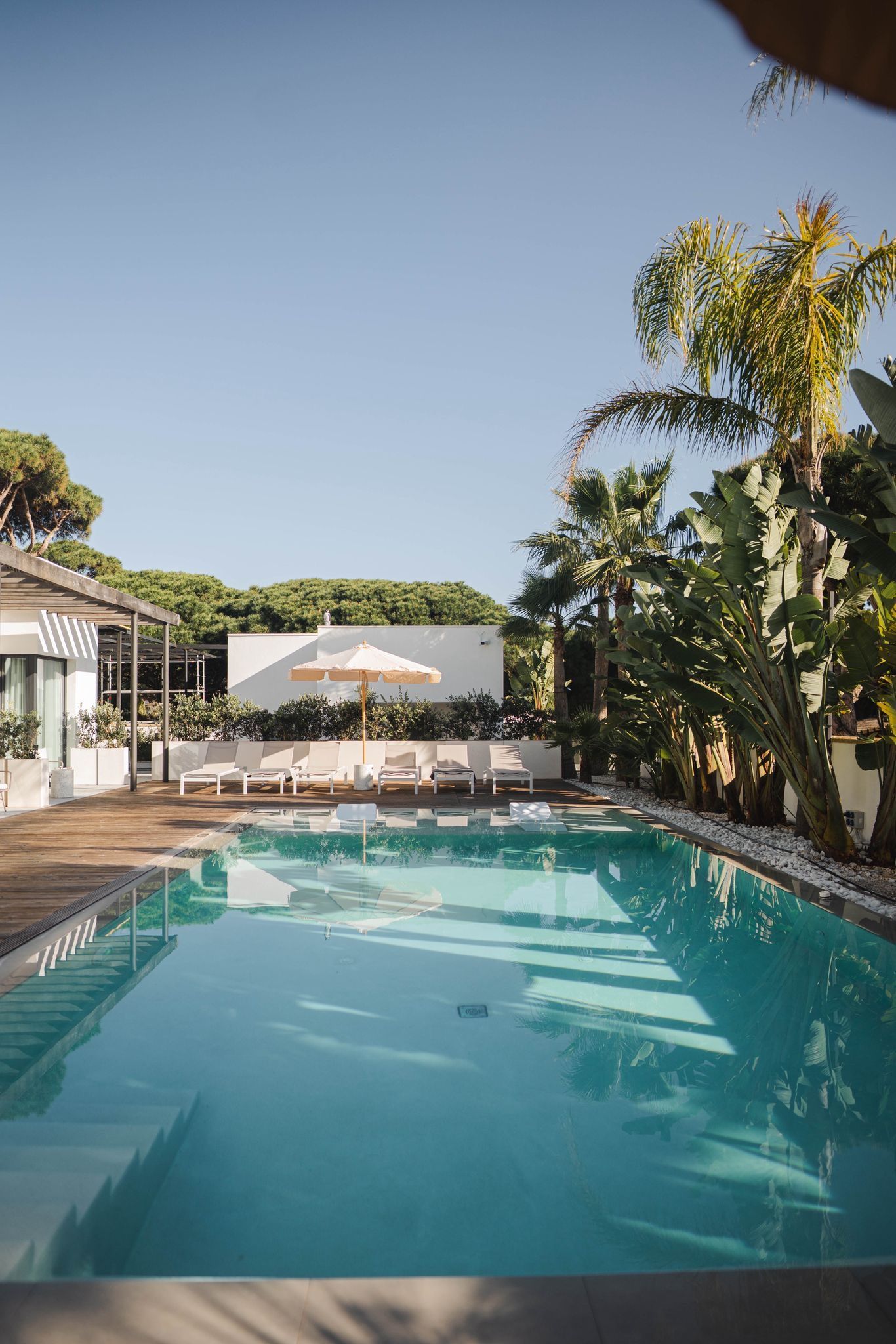 Modern backyard pool area with deck seating and plants.