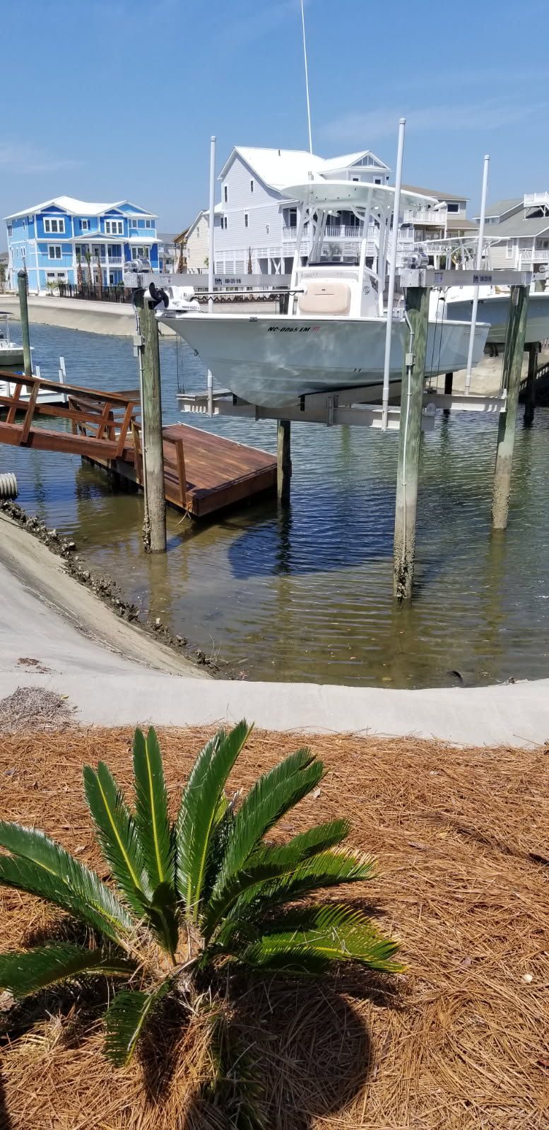 A boat is docked in a marina next to a palm tree.