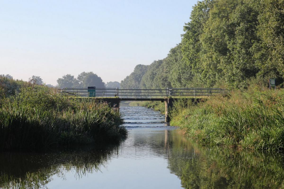 Een brug over een rivier, omgeven door bomen op een zonnige dag.