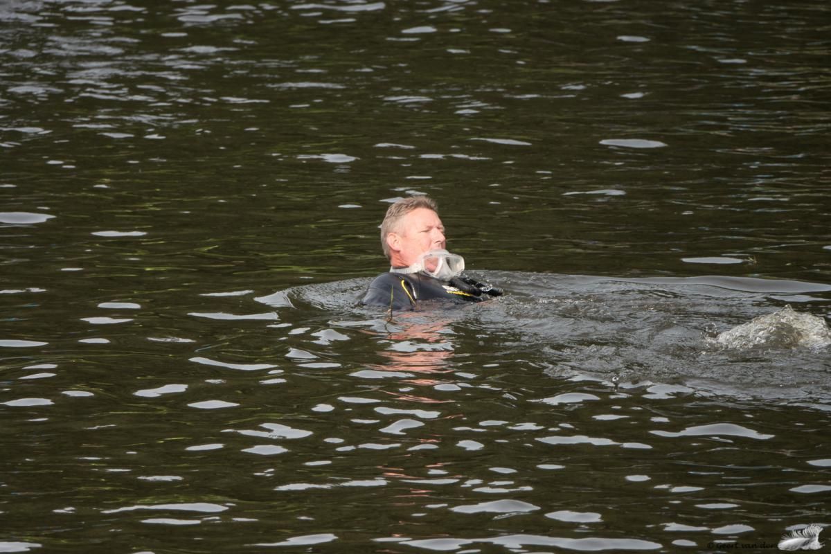 Een man in een wetsuit zwemt in een watermassa.