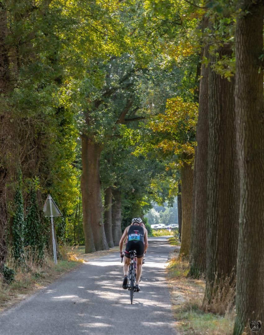 Een man fietst over een weg met bomen.