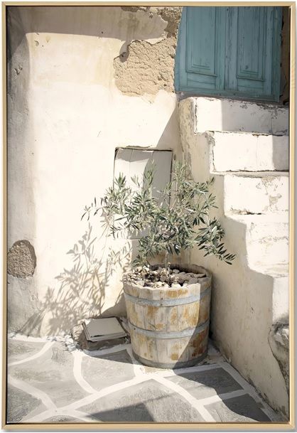 Tuscan Olive Tree Art, The Outdoor Scene, Somerton Park SA
