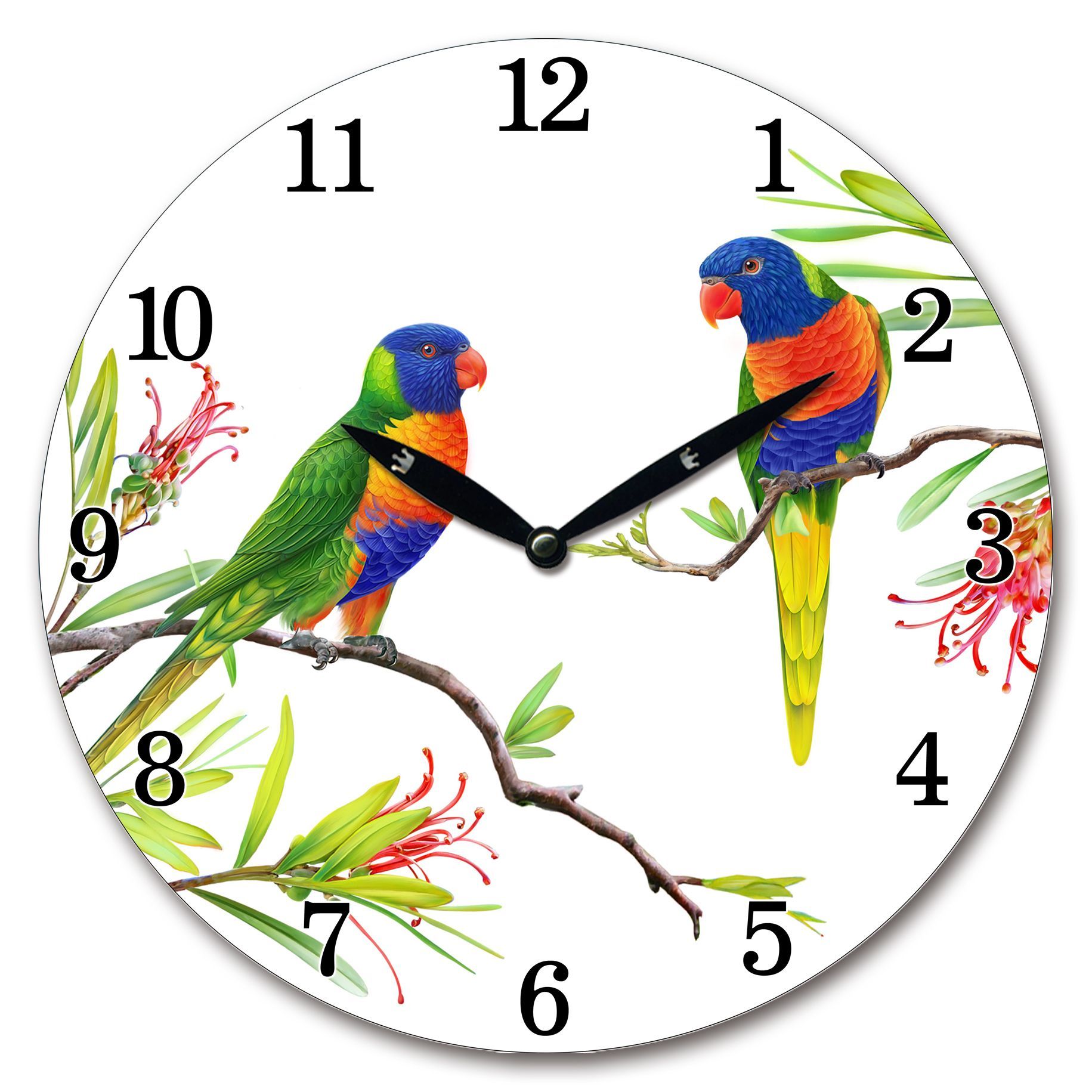 Lorikeet clock