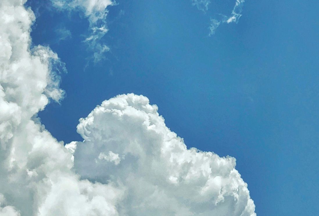 Disinfettante Concentrato Decontaminante