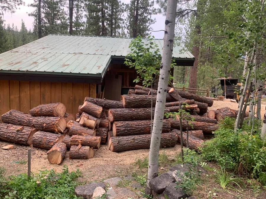 A pile of logs is sitting in front of a house.