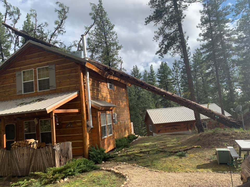 A log cabin with a tree fallen on it.