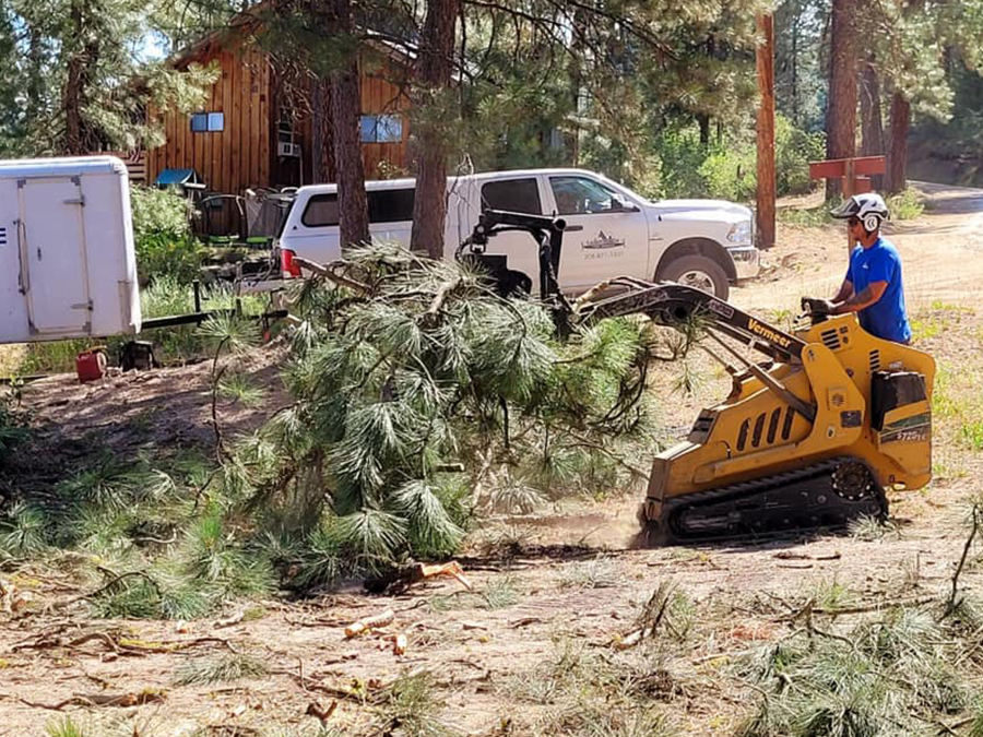 A man is using a machine to remove a tree from the ground.