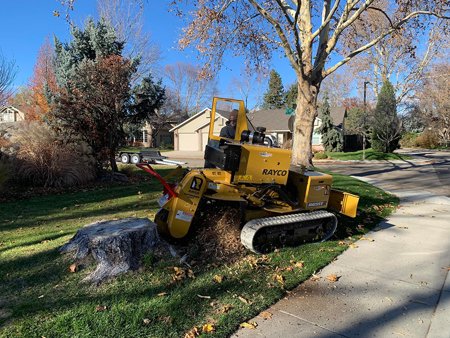 A yellow stump grinder is sitting on the sidewalk next to a tree.