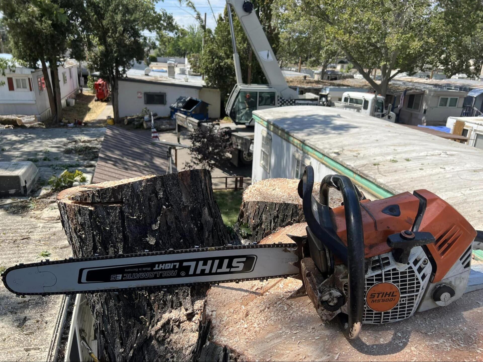 A stihl chainsaw is sitting next to a tree stump
