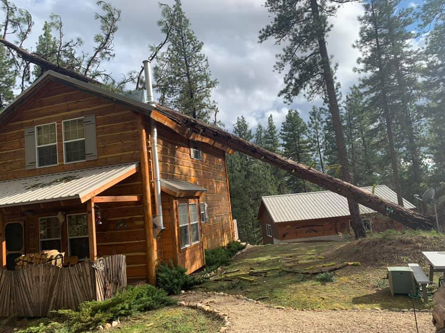 A log cabin with a tree fallen on it.