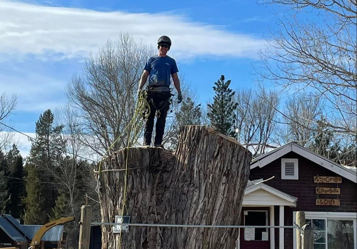 A man is standing on top of a tree stump in front of a house.