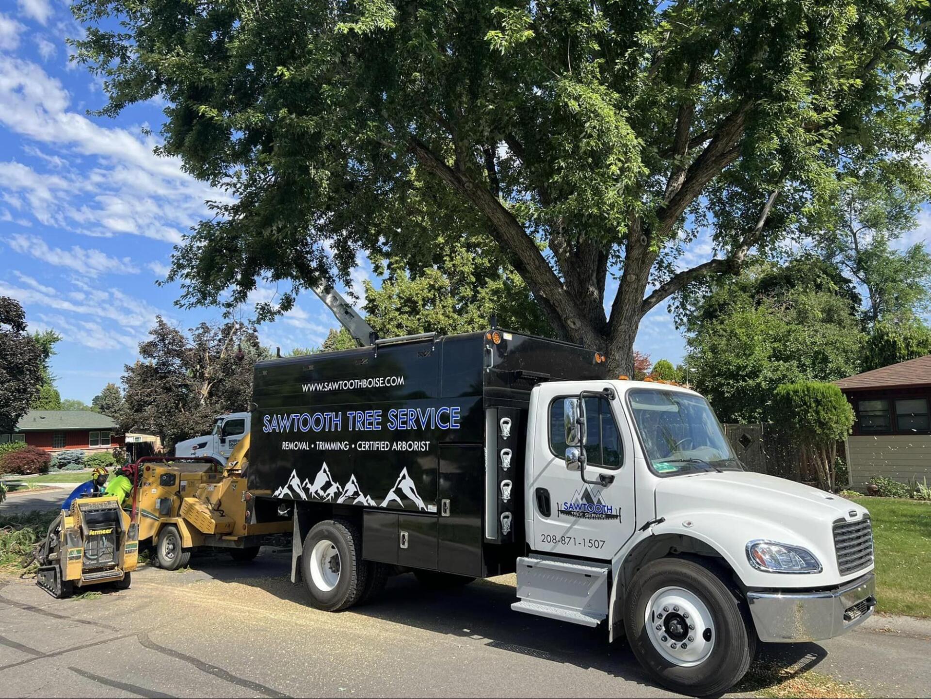 A white truck is parked on the side of the road next to a tree.