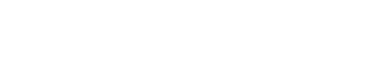 Welocalize