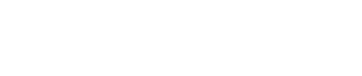 Welocalize