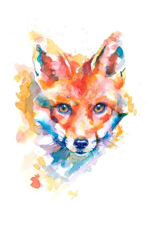 Fox's Gaze - copyright Jen Lewis