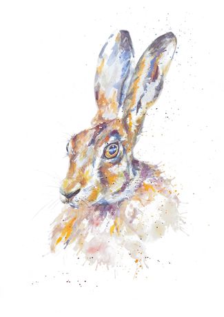 Hare - copyright Jen Lewis