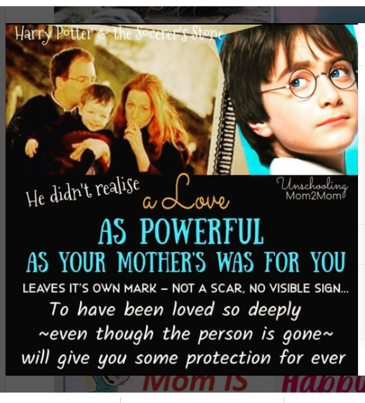 Harry Potter-themed meme: quote about a mother's love, with images of Lily, James, and baby Harry Potter.