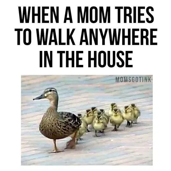 Duck leading a line of ducklings; text above: