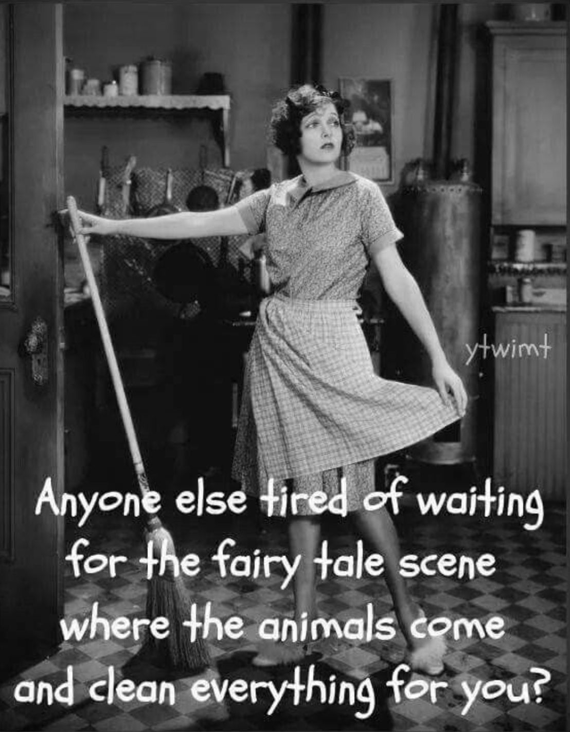 Woman in apron holding a broom, looking wistfully, with text about fairy tale cleaning animals.