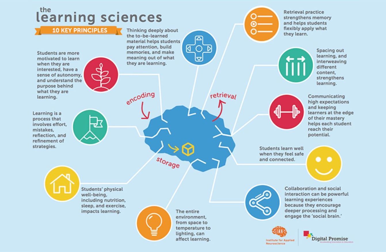 Infographic on learning sciences with a central brain and colorful icons showing key concepts around it