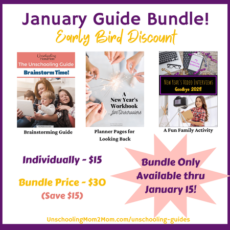 January guide bundle: Brainstorming guide, workbook, & family activity with early bird discount.