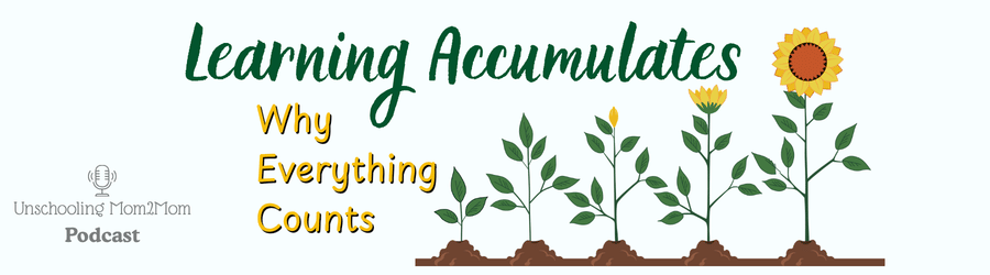 Learning Accumultes - Why Everything Counts