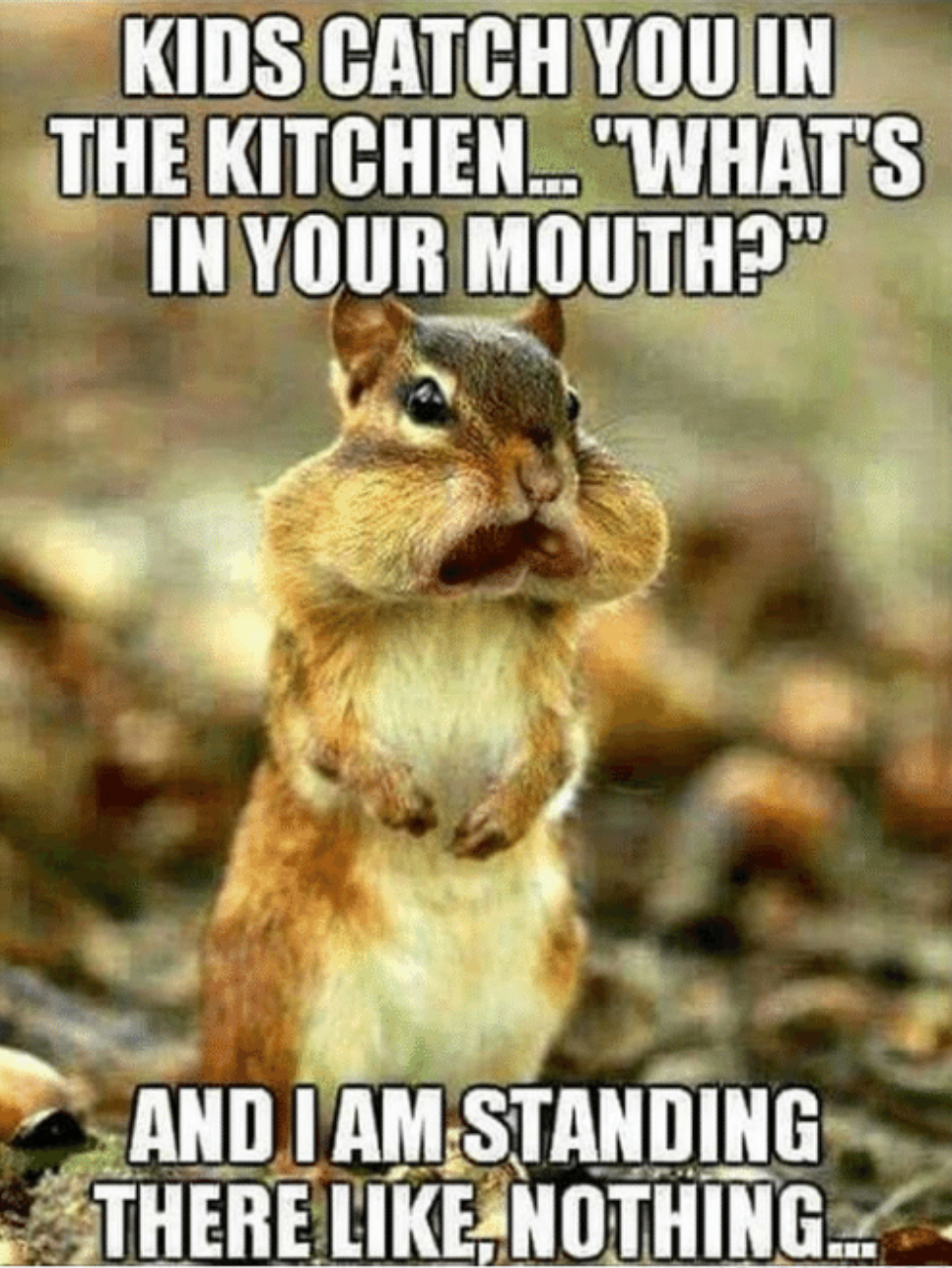 Chipmunk with puffed cheeks, captioned