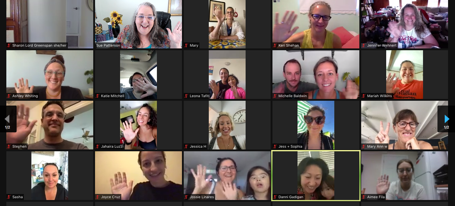 Not back to school webinar attendees