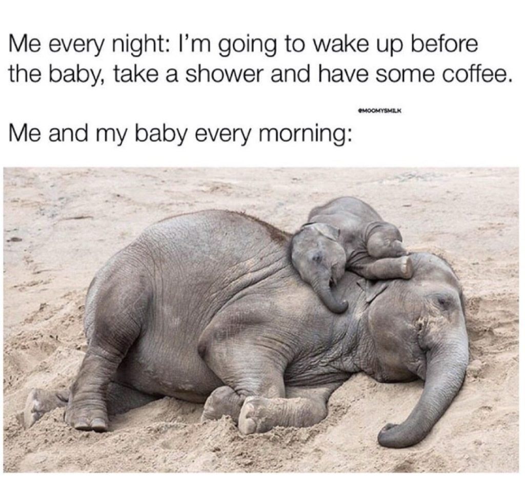 Meme comparing a parent's aspirations to morning reality. Text atop a photo of two elephants: a baby snuggling its parent.