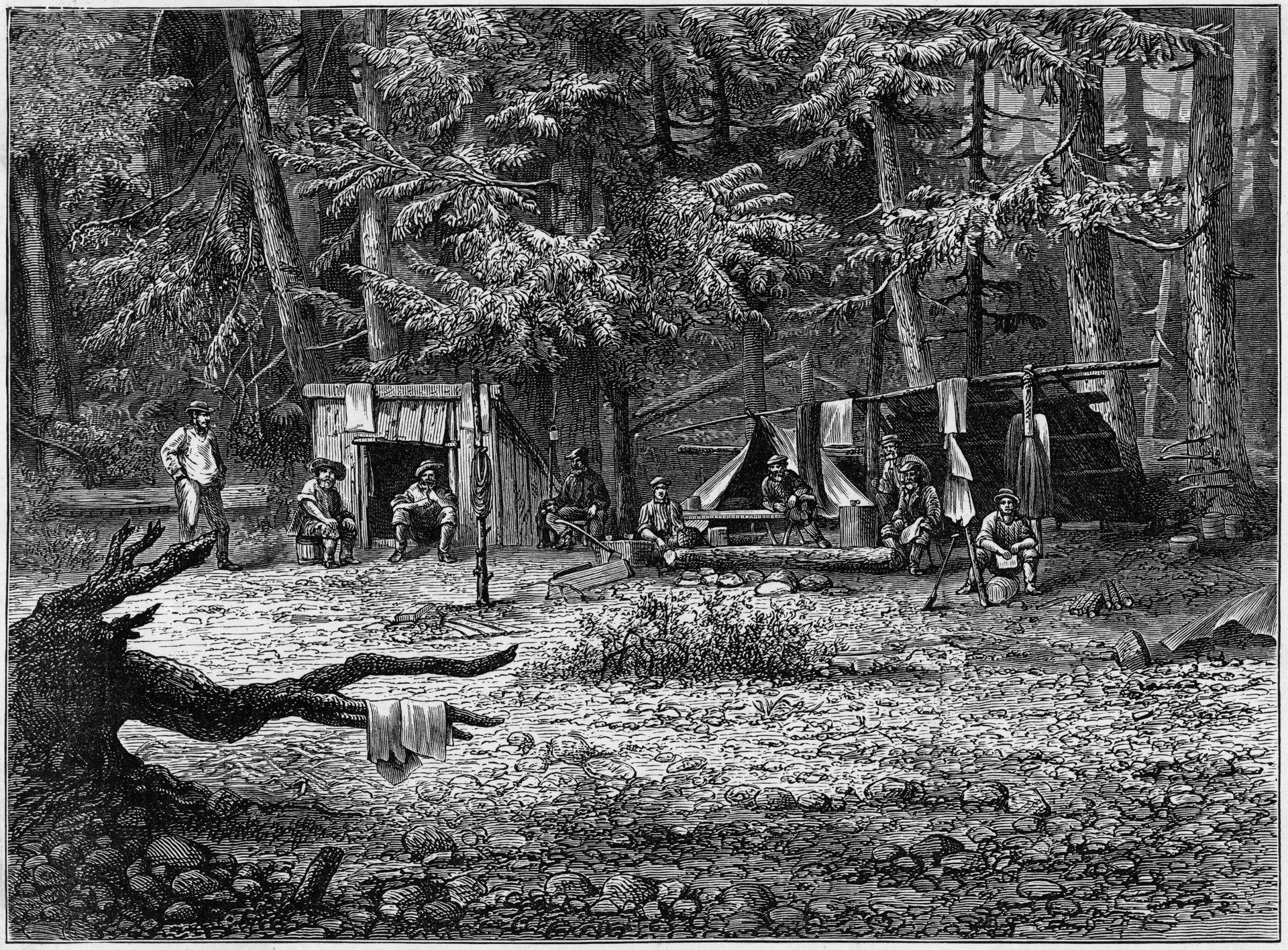 People working around a small wooden structure in a dense forest, with tools and logs nearby.