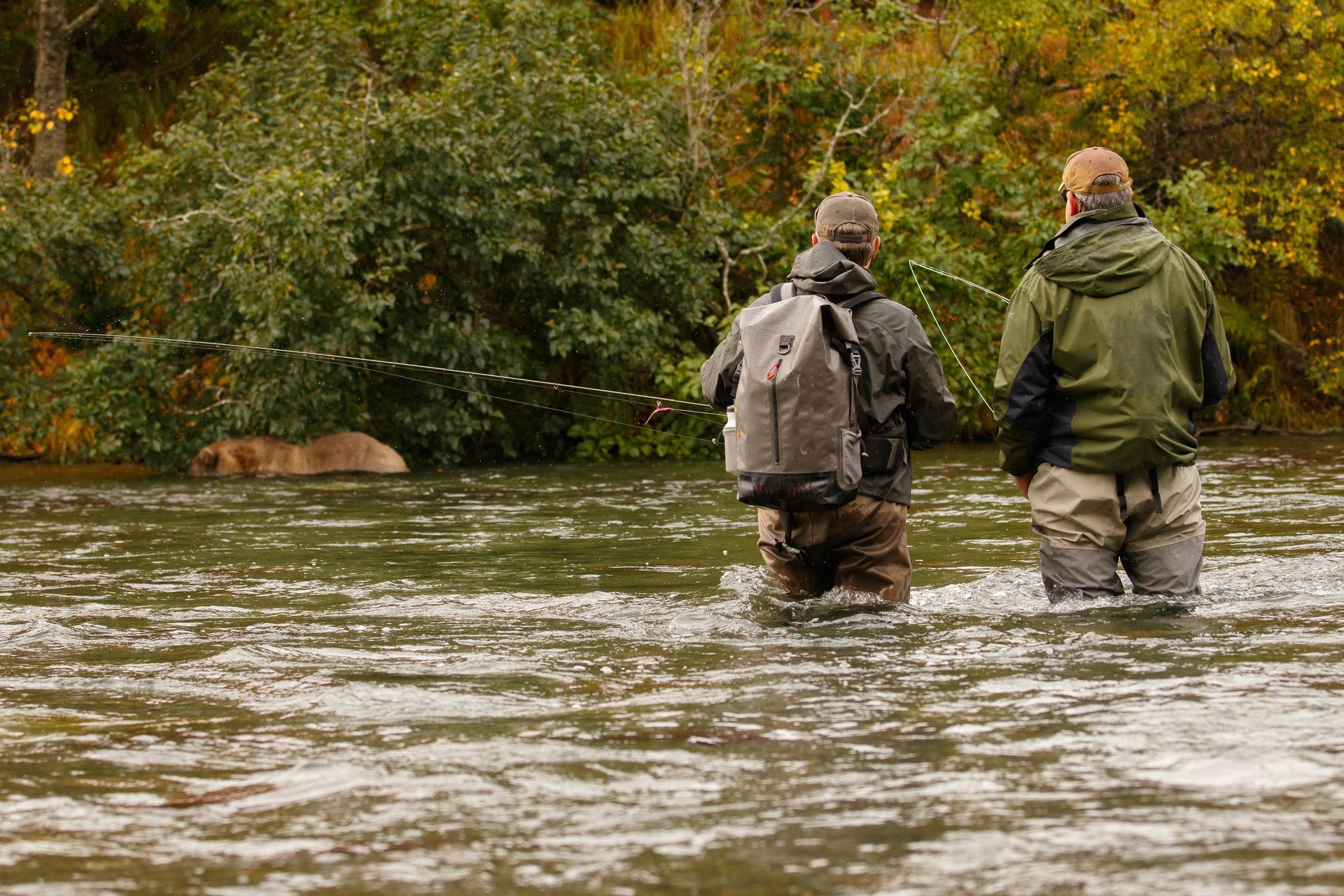 Two people wade through a river beside dense green trees in autumn.