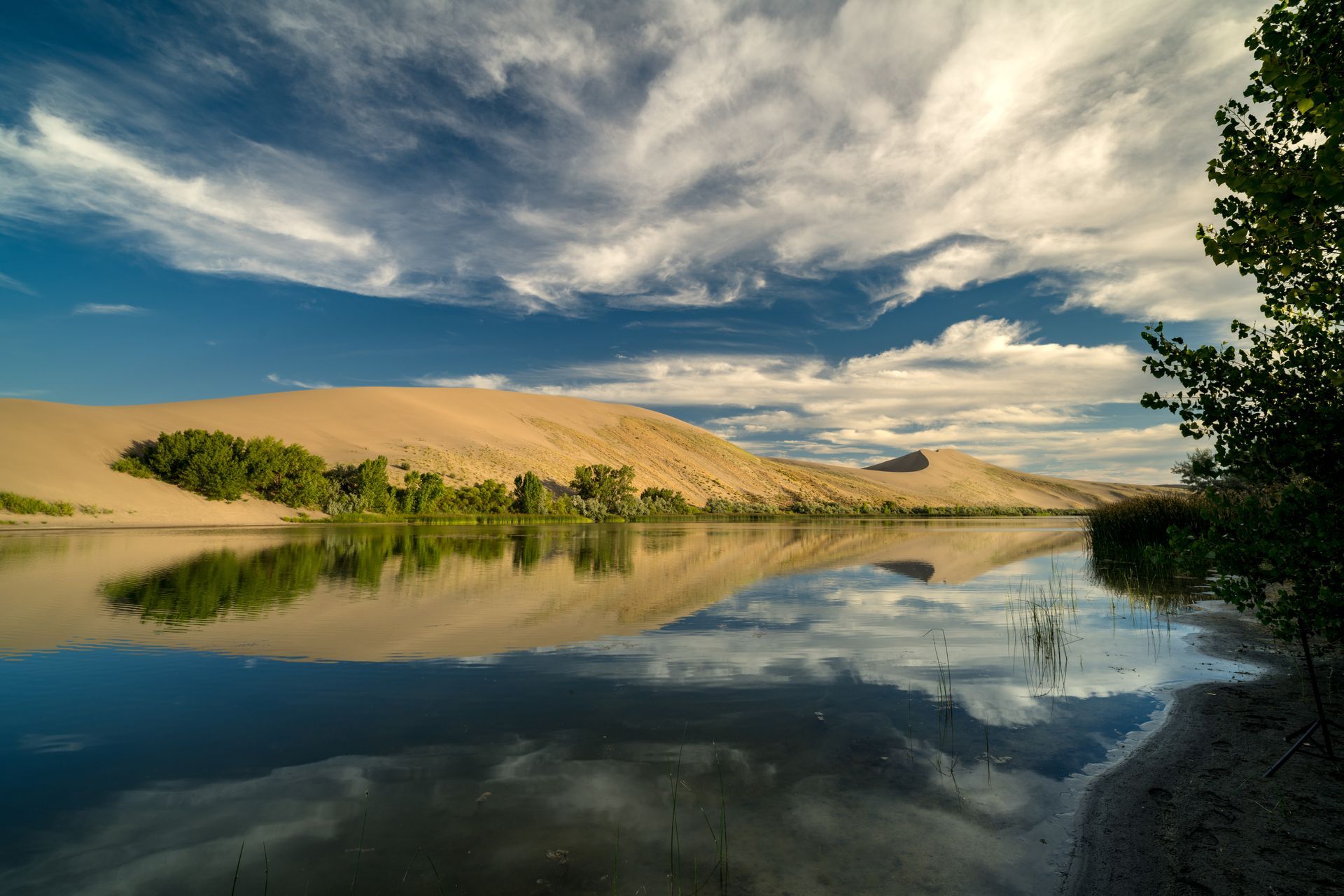 Sandy dunes and green trees reflected in a calm lake under a dramatic cloudy sky
