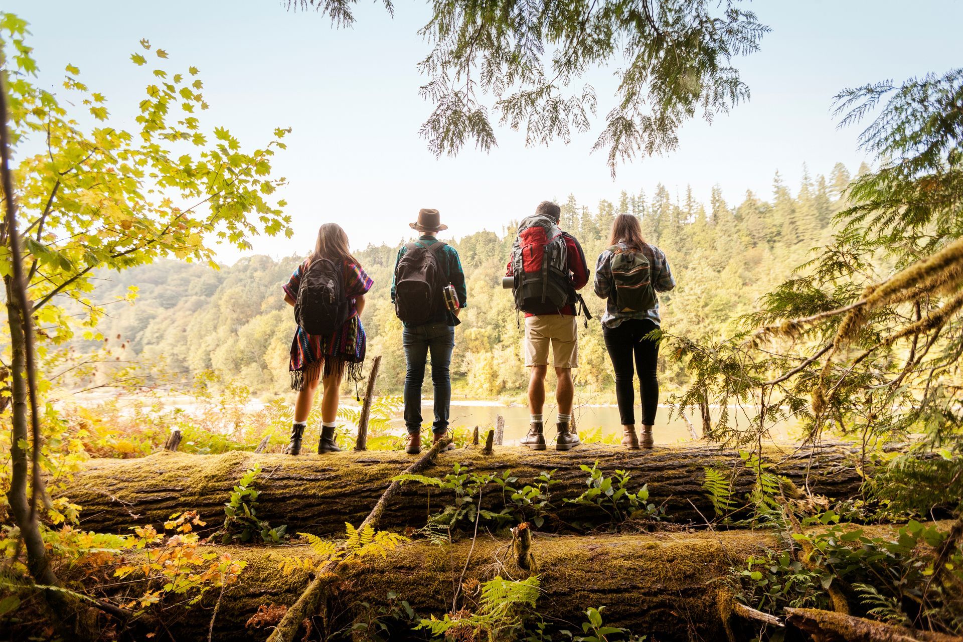 Four hikers with backpacks standing on a forest trail in warm sunlight.
