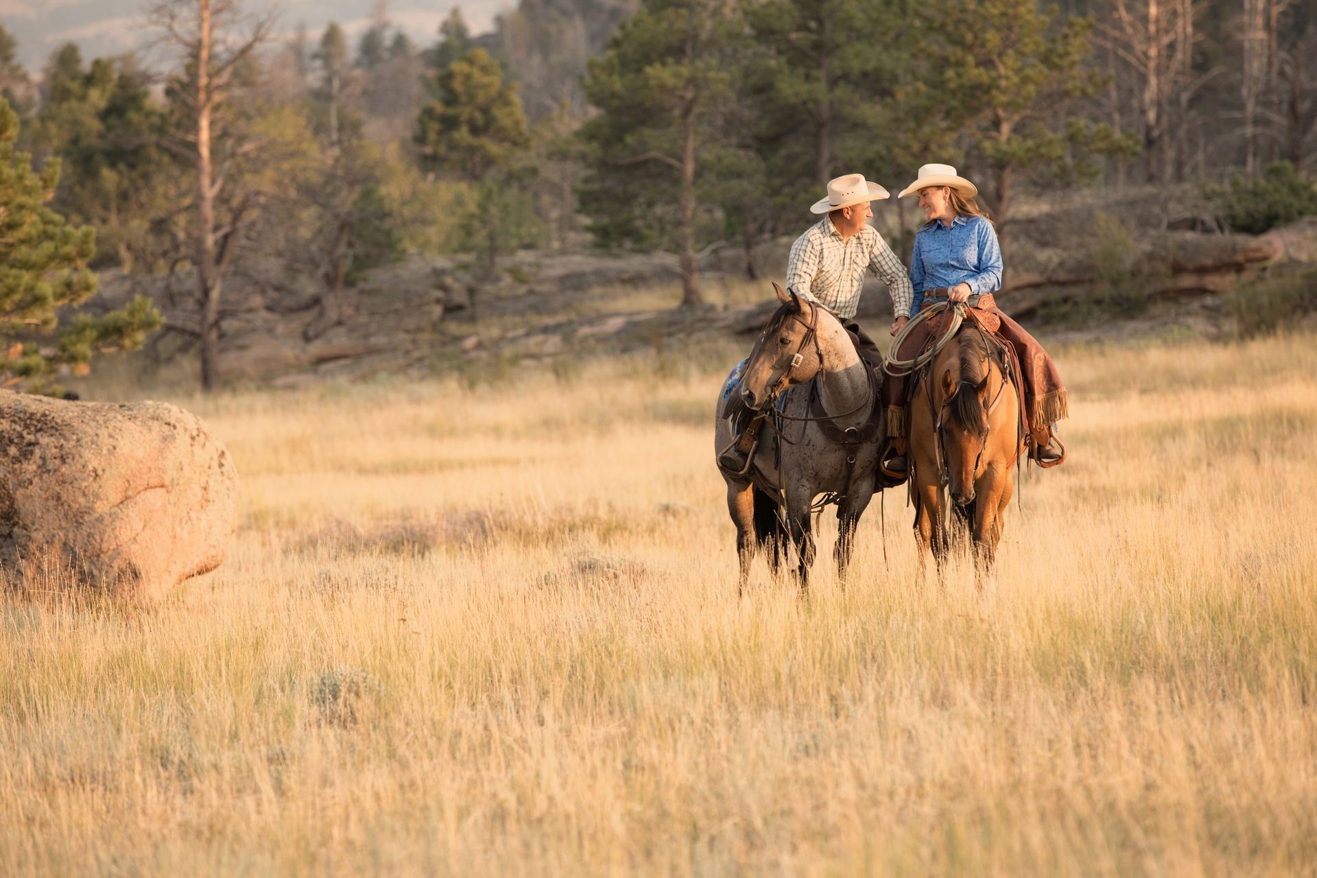 Two people on horseback in a grassy field, wearing cowboy hats, near trees.