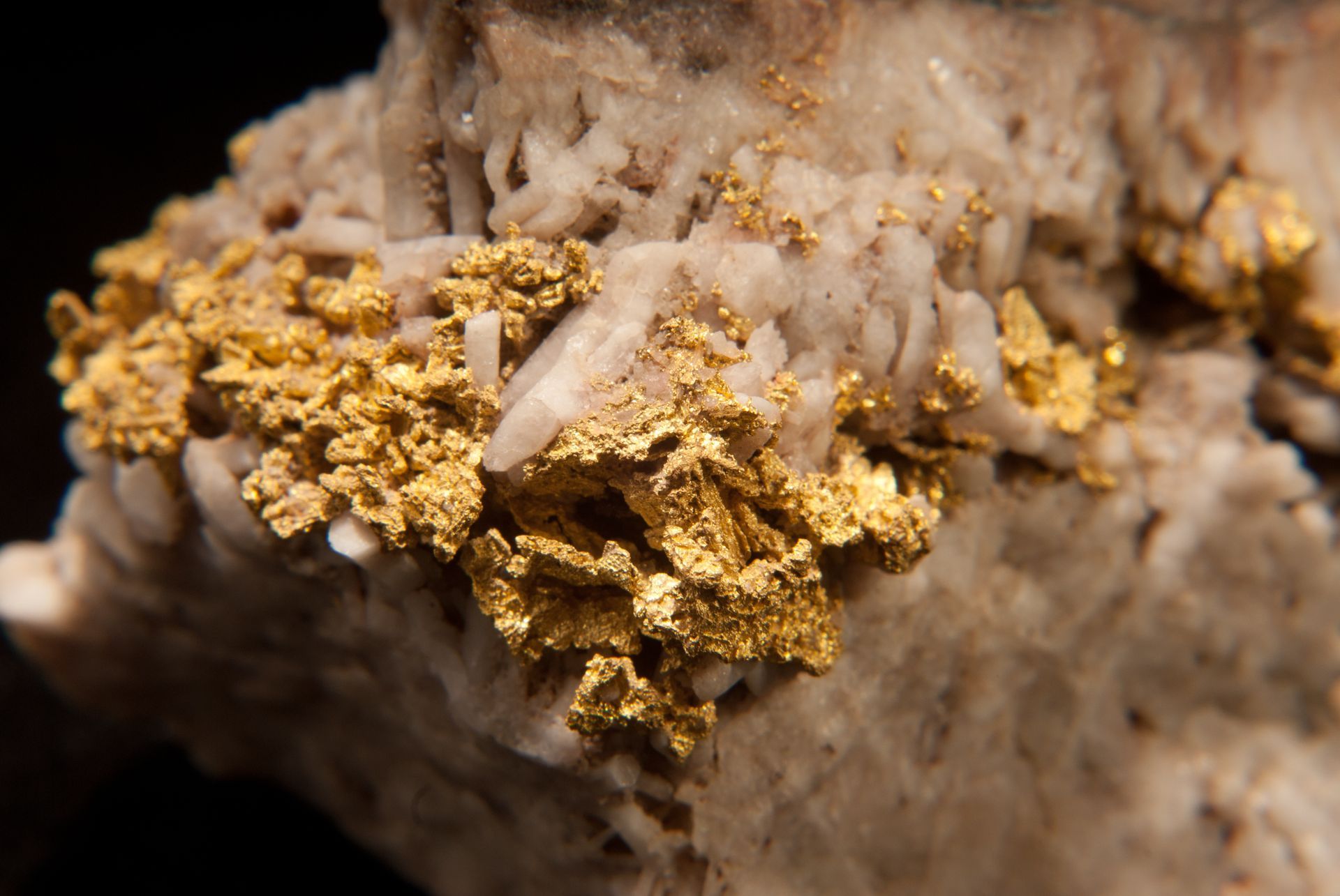 Gold nugget cluster on rough rock surface, close-up against a dark background