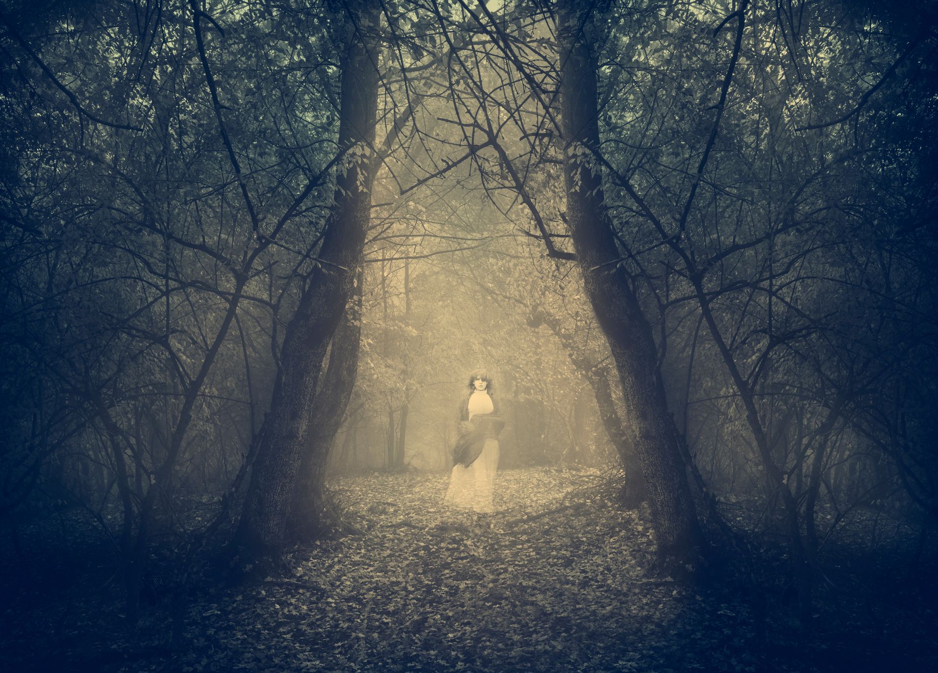 A lone figure in white stands in a misty, dark forest with a warm glow ahead.