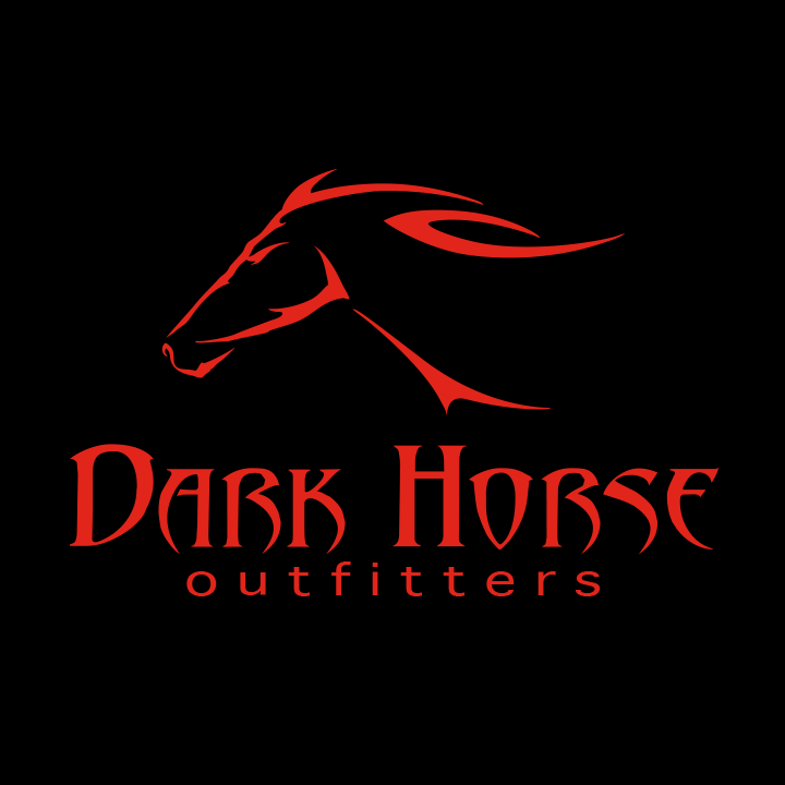 DHO-logo-for-website.png