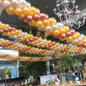 ballonnen-slinger
