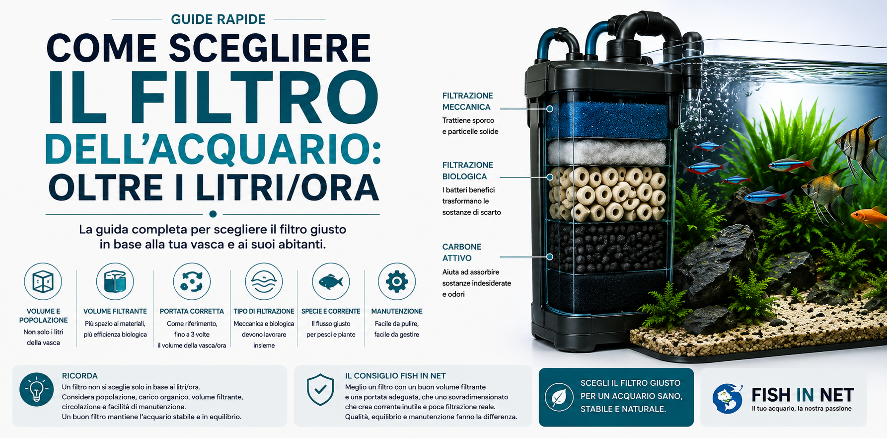 Guida alla scelta del filtro per acquario in base a volume, portata e materiali filtranti