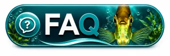 Domande frequenti sull'acquario - FAQ Fish In Net