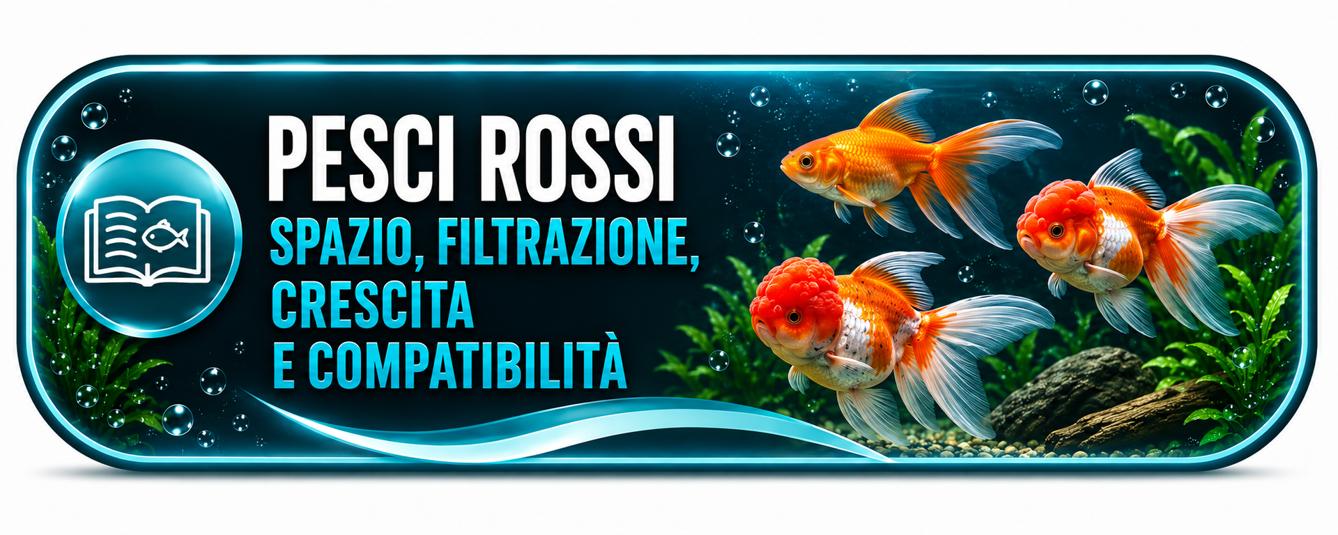 Guida ai pesci rossi in acquario: spazio, filtrazione, crescita e compatibilità