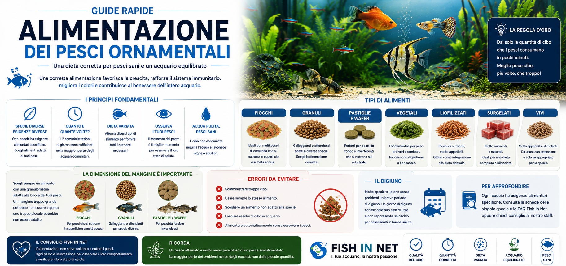 Guida rapida Fish In Net - alimentazione dei pesci ornamentali
