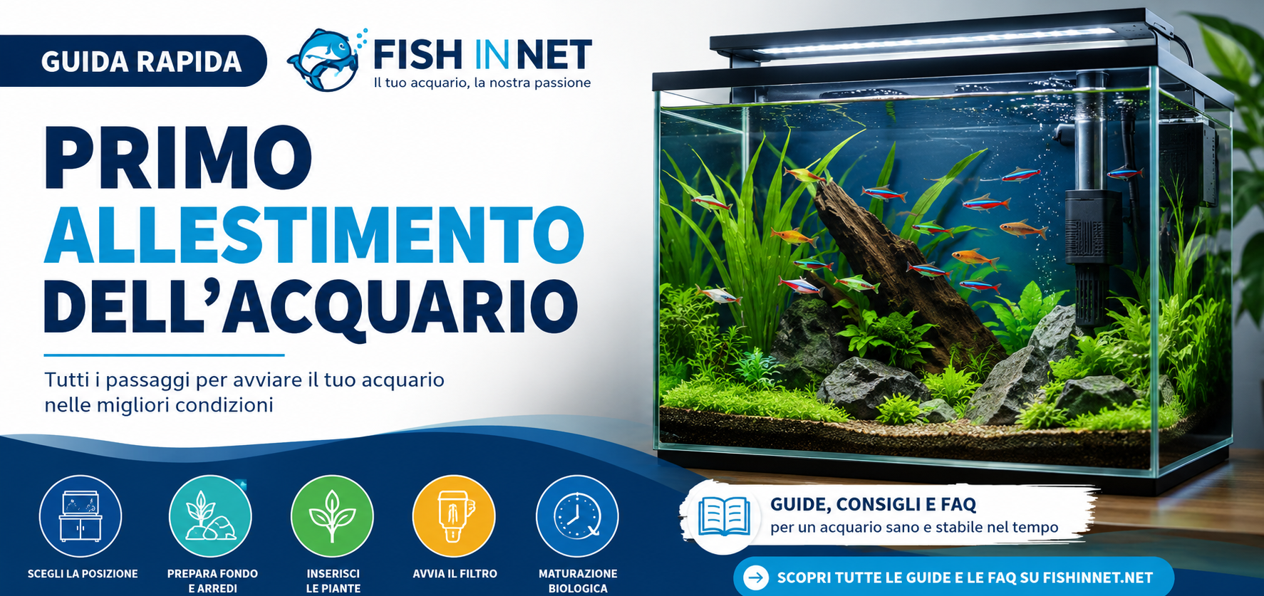 Guida rapida Fish In Net - come creare e avviare un acquario