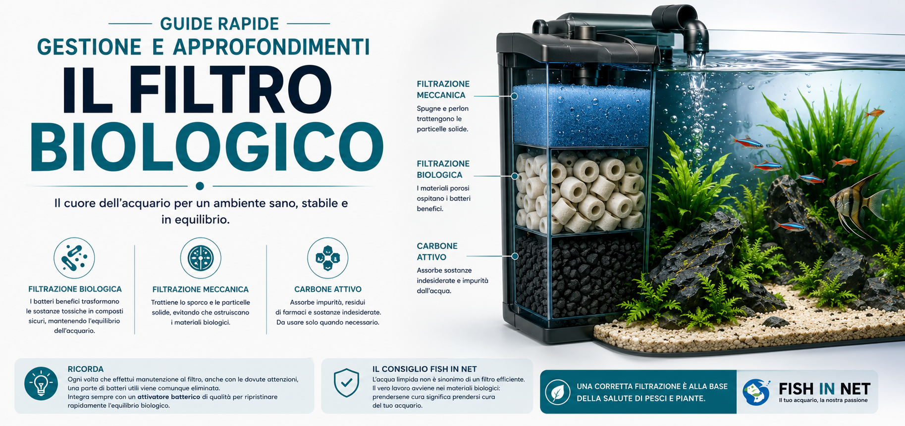 Guida rapida Fish In Net - gestione del filtro biologico dell'acquario